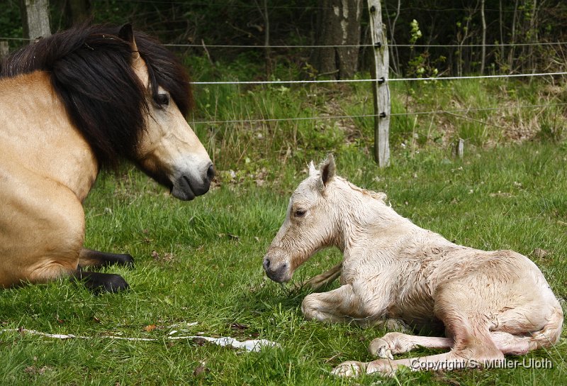 Hjoerdis 20 Min alt.JPG